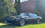 1979 Trans Am Thumbnail 8