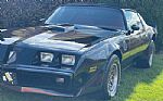 1979 Trans Am Thumbnail 12