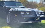 1979 Trans Am Thumbnail 14