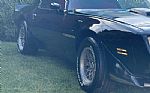 1979 Trans Am Thumbnail 15