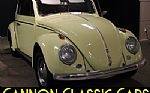 1962 Beetle Thumbnail 7