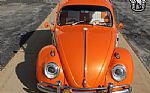 1967 Beetle Thumbnail 3