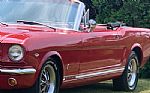 1966 Mustang Thumbnail 5