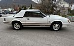 1984 Mustang GT 350 Thumbnail 4