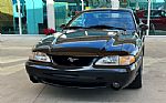 1995 Mustang SVT Cobra Thumbnail 1