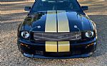 2006 Mustang Shelby GT Hertz Thumbnail 5