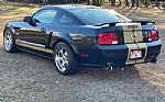 2006 Mustang Shelby GT Hertz Thumbnail 7