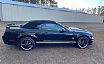 2007 Mustang Shelby GT Hertz Thumbnail 7