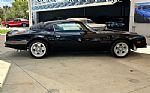 1976 Trans Am Thumbnail 4