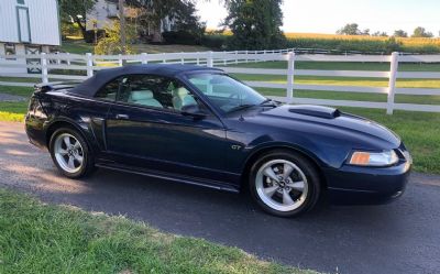 Photo of a 2002 Ford Musang GT for sale