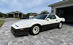 1983 Pontiac Trans Am Pace Car