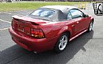 2001 Mustang Thumbnail 5