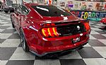 2020 Mustang Roush Stage 3 Thumbnail 5