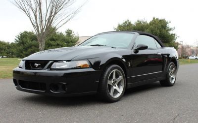 Photo of a 2003 Ford Mustang SVT Cobra for sale