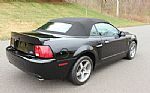 2003 Mustang SVT Cobra Thumbnail 5