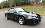 2003 Mustang SVT Cobra Thumbnail 7