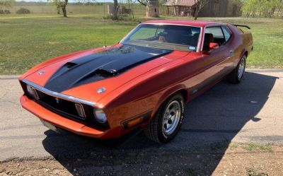 Photo of a 1973 Ford Mustang for sale