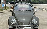 1965 Beetle Thumbnail 5