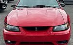 1999 Mustang Cobra Thumbnail 3