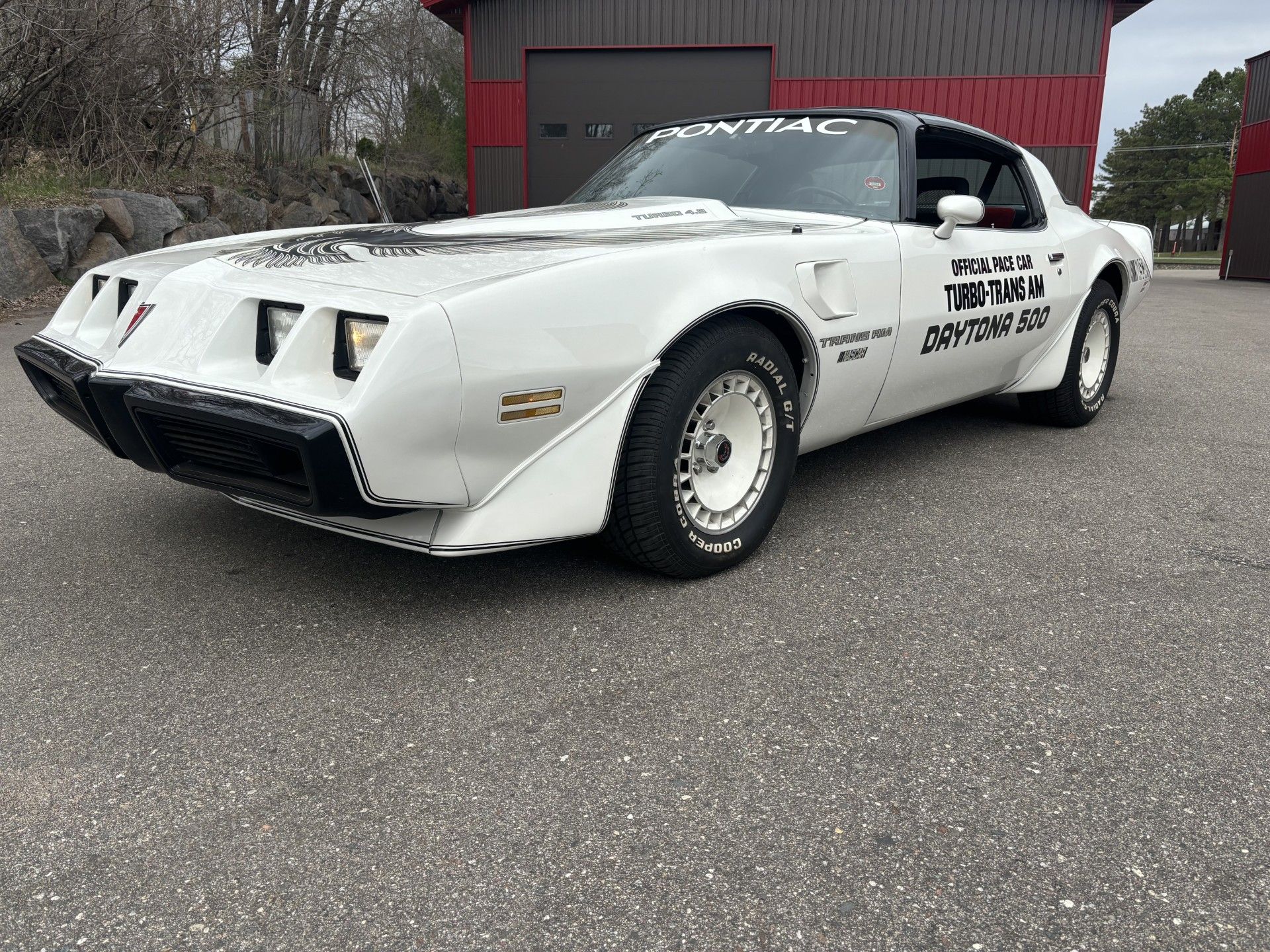 1981 Trans Am Image