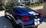 2016 Mustang Shelby GT350 Thumbnail 10