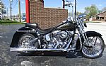 2007 Softail Springer Classic Thumbnail 5