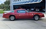 1976 Firebird Thumbnail 5