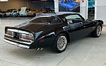 1977 Trans Am Thumbnail 5