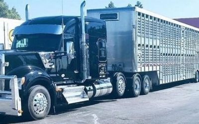 Photo of a 2020 Kenworth W990 for sale