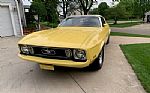 1973 Mustang Thumbnail 8