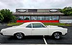 1967 GTO Thumbnail 4