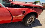 1977 Trans Am Thumbnail 20