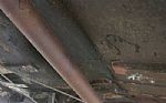 1951 Mainline Thumbnail 63