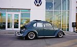 1966 Beetle Thumbnail 6