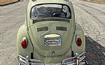 1969 Beetle Thumbnail 8