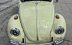 1969 Beetle Thumbnail 7