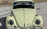 1969 Beetle Thumbnail 21