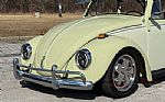 1969 Beetle Thumbnail 25