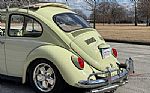 1969 Beetle Thumbnail 47
