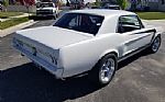 1967 Mustang coupe Thumbnail 4