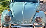 1966 Beetle Euro Model Thumbnail 2