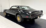 1981 Firebird Bandit Edition Turbo Thumbnail 3