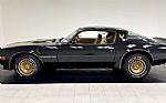 1981 Firebird Bandit Edition Turbo Thumbnail 2