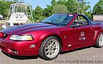 1999 Mustang Thumbnail 4