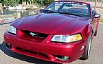 1999 Mustang Thumbnail 5