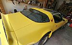 1979 Firebird Thumbnail 5