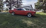 1965 Mustang Fastback Thumbnail 3