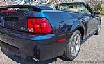2003 Mustang Thumbnail 4