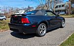 2003 Mustang Thumbnail 5
