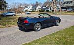 2003 Mustang Thumbnail 8